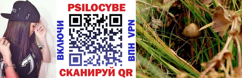 Галлюциногенные грибы Psilocybe  Кушва 