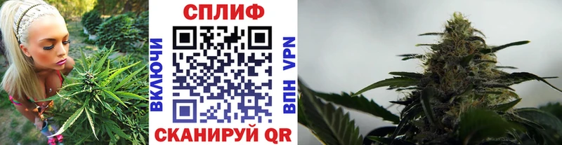 МЕГА как зайти  Кушва  Конопля план 